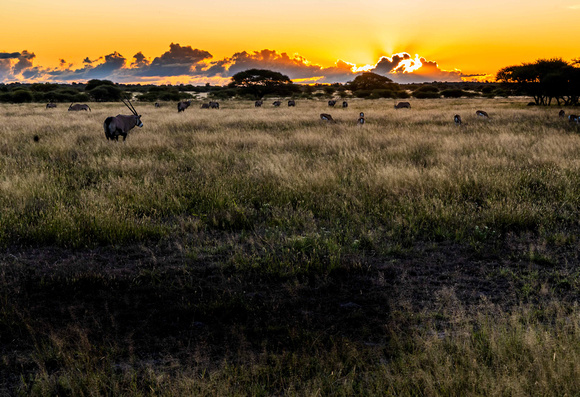 Sunset on Kalahari JB510