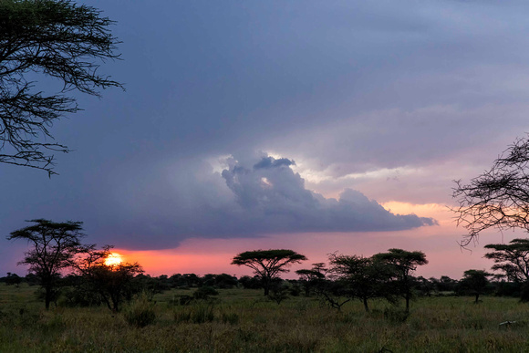 Sunset on the Serengeti JB740