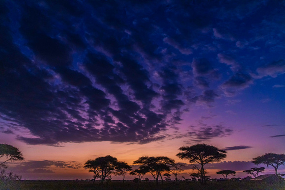 Sunrise in Serengeti JB708