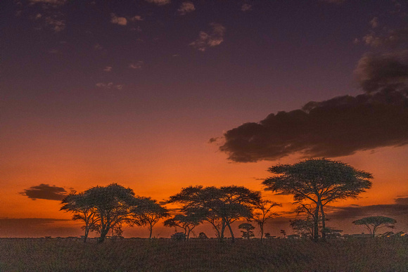 Sunrise in Serengeti JB707