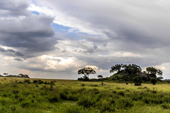 Serengeti Landscape JB814