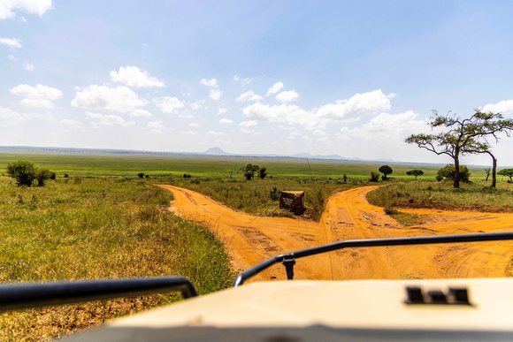 Serengeti Landscape JB815