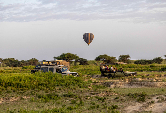 Travel in the Serengeti JB903