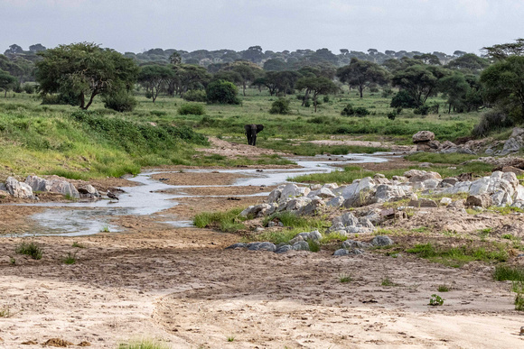 River in Serengeti JB561