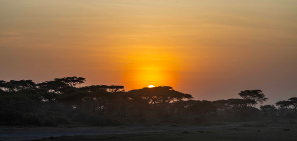 Sunrise in Serengeti JB534