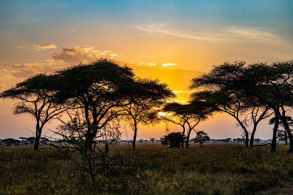 Sunrise on the Serengeti JB092