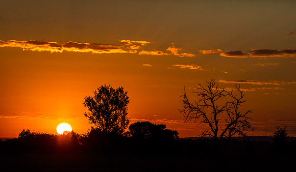 Sunset-in-Africa-JB307