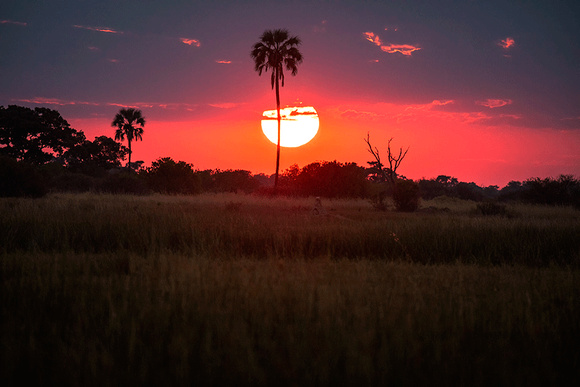 Sunset-in-Botswana-JB458