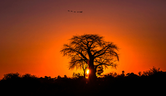 Sunset-in-Botswana-JB103