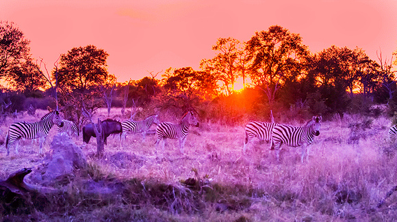 Sunset-in-Botswana-JB106