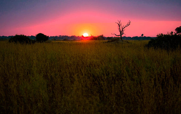 Sunset-in-Botswana-JB100