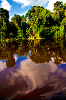 Reflection-in-the-Amazon-JB1931