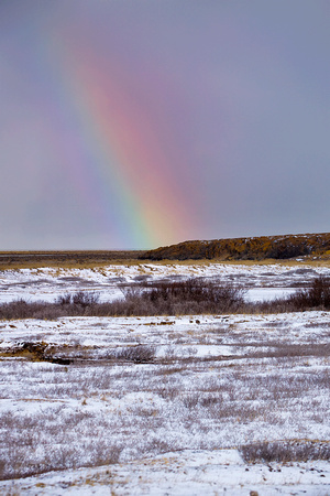 Rainbow-in-Tundra-JB218