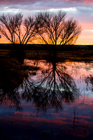 Sky-Reflection-at-Sunset-in-New-Mexico-JB109