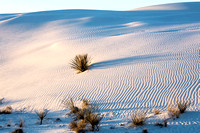 Great-White-Sands-at-Sunrise-JB103